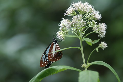 0808-7.jpg