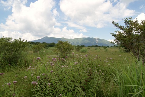 0808-4.jpg