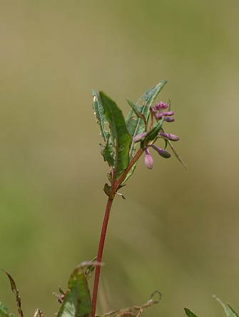 0808-5.jpg