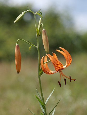 0808-6.jpg