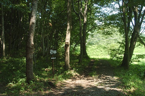 0810-1.jpg