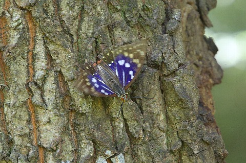 0810-4.jpg