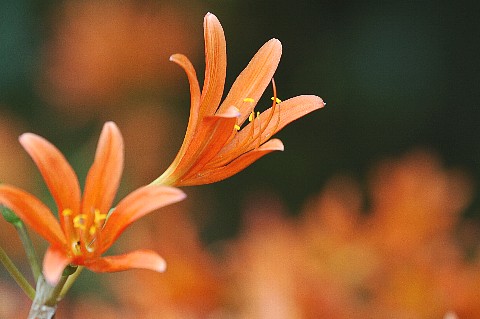 0811-3.jpg
