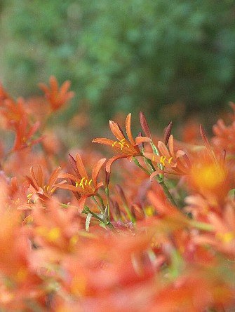 0811-4.jpg