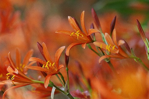 0811-1.jpg