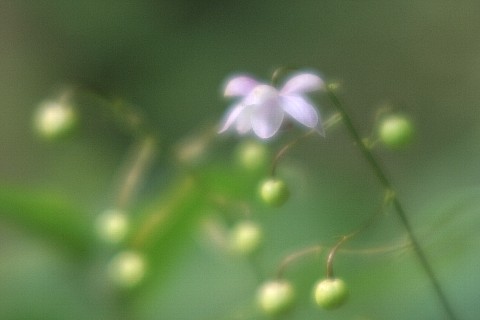 0813-4.jpg