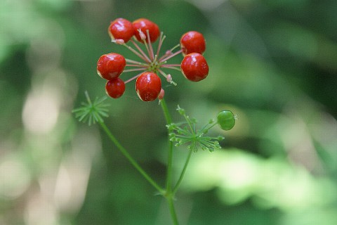 0813-7.jpg