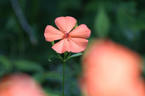 0813-6.jpg