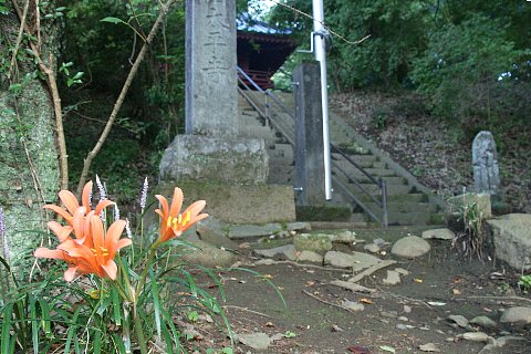 0814-1.jpg