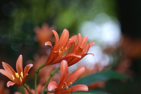 0814-3.jpg