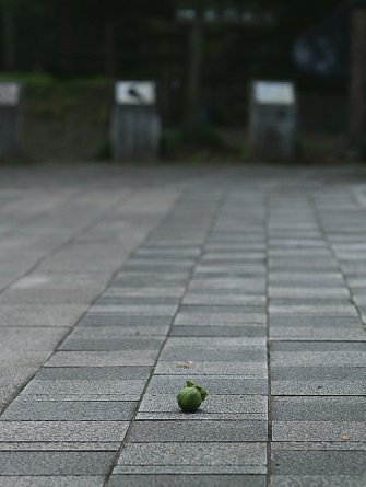 0814-5.jpg