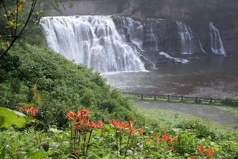 0814-4.jpg