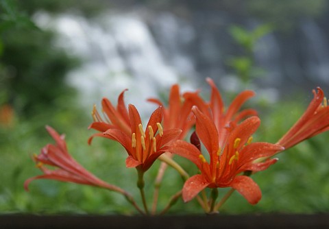 0814-6.jpg