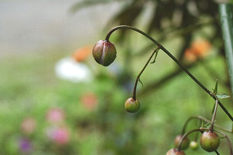0816-6.jpg
