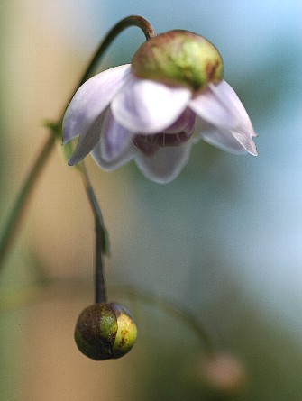 0816-7.jpg