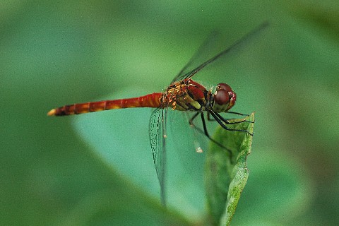 0817-2.jpg