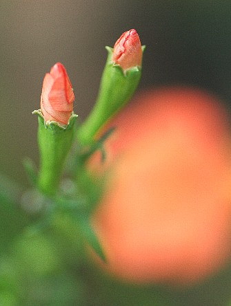 0817-7.jpg