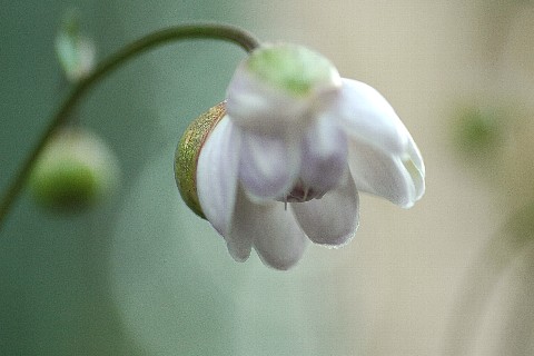 0817-6.jpg
