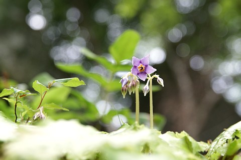 0818-6.jpg