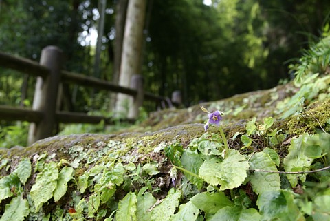 0818-4.jpg