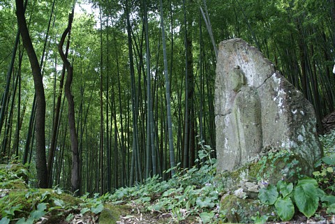 0818-3.jpg