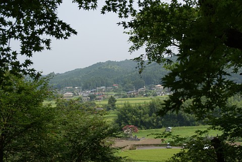 0818-8.jpg