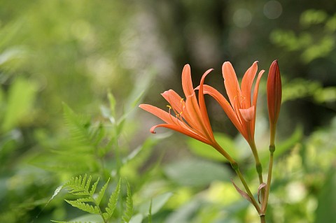 0819-4.jpg