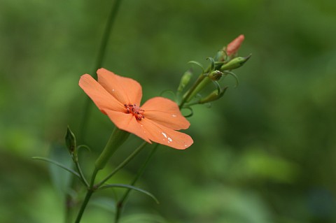 0819-3.jpg
