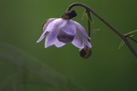 0823-3.jpg