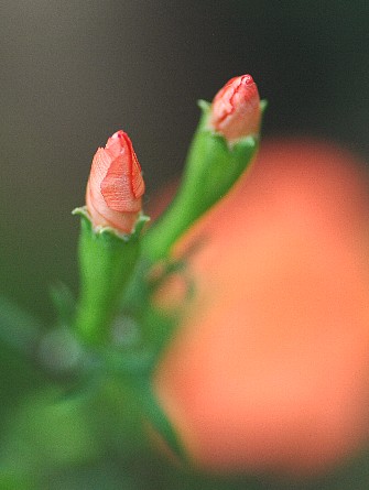 0823-5.jpg