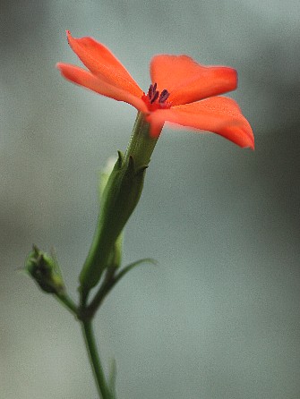 0823-4.jpg
