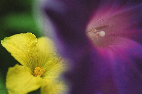 0823-6.jpg