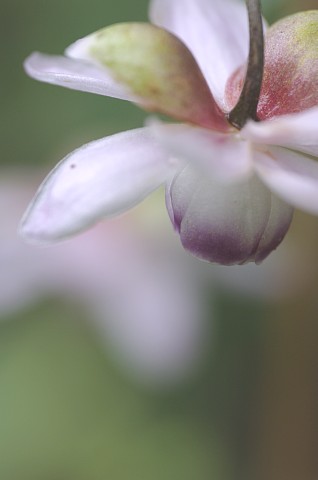 0827-4.jpg