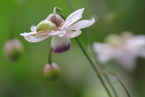 0827-2.jpg