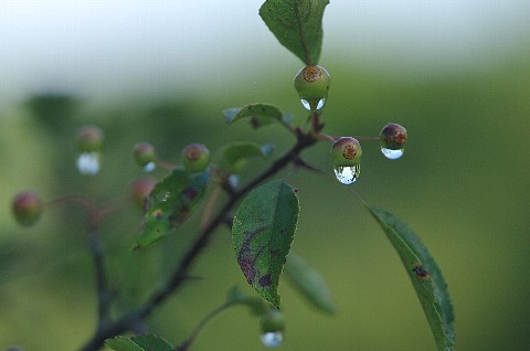 0828-9.jpg