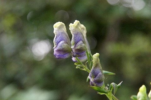 0828-6.jpg