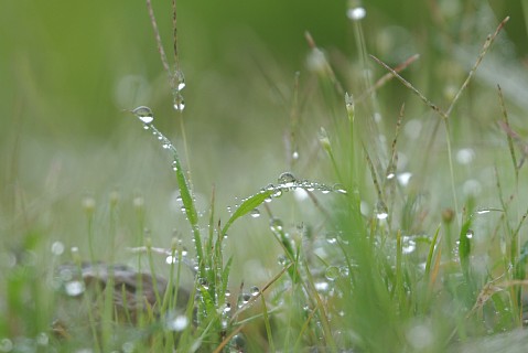 0829-4.jpg