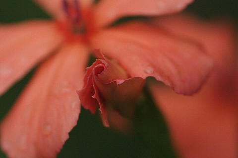 0901-6.jpg