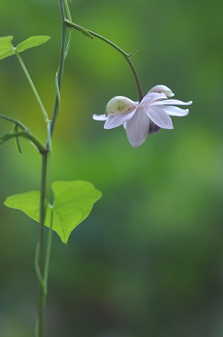 0901-4.jpg