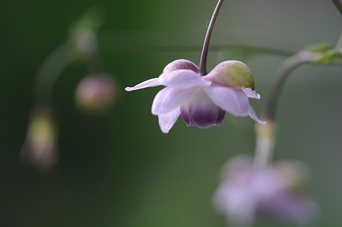 0901-5.jpg