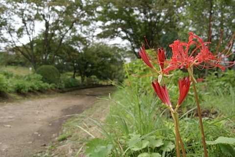 0904-6.jpg