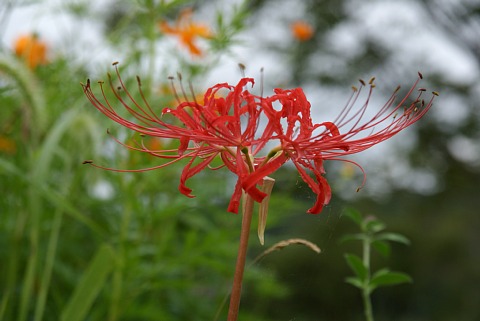 0904-7.jpg