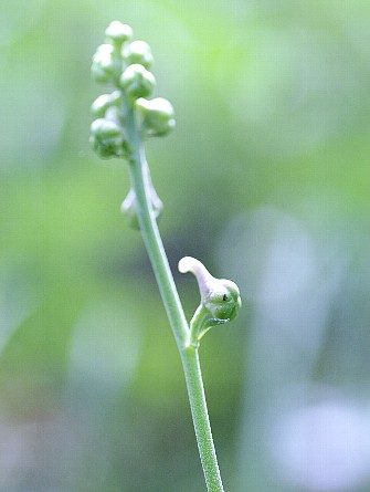 0906-2.jpg