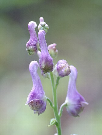 0906-3.jpg