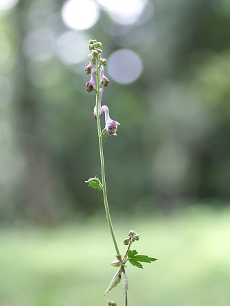 0906-4.jpg