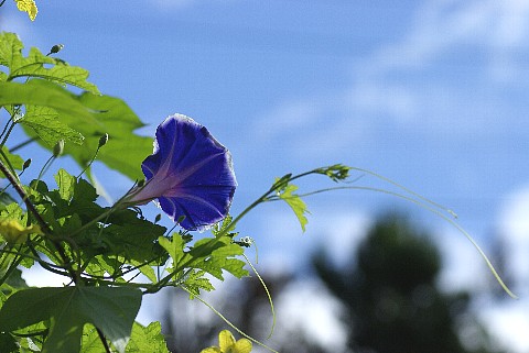 0906-5.jpg