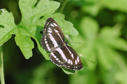 0909-4.jpg