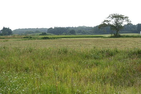 0911-1.jpg