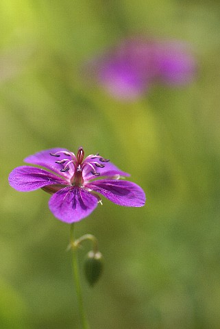 0911-3.jpg