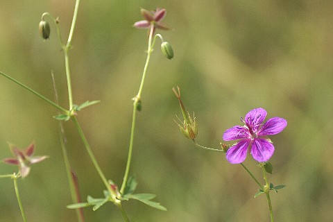 0911-5.jpg